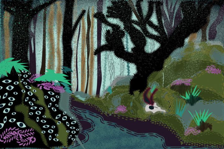 skull in mystic forest illustration